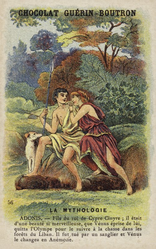 Adonis autorstwa French School
