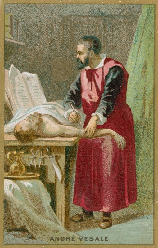 Andreas Vesalius autorstwa French School