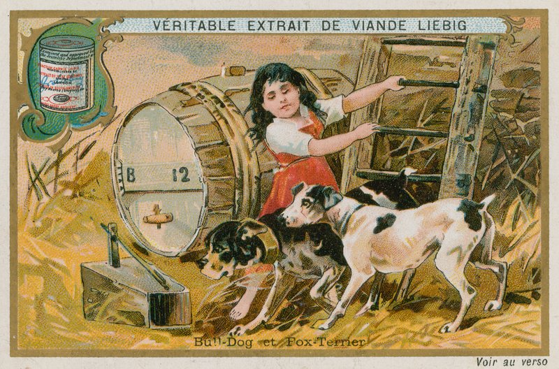 Buldog i Foksterier autorstwa French School