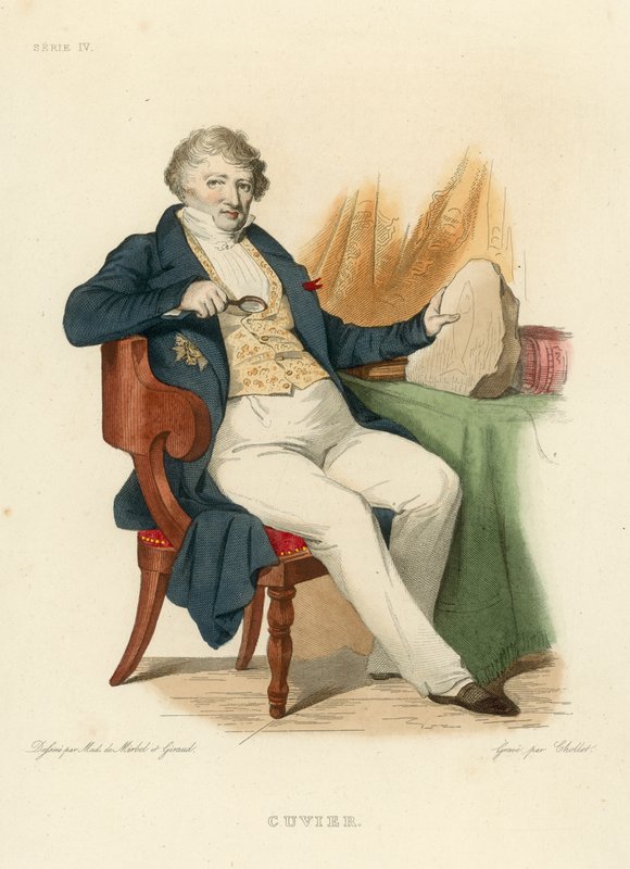Cuvier (kolorowy grawer) autorstwa French School