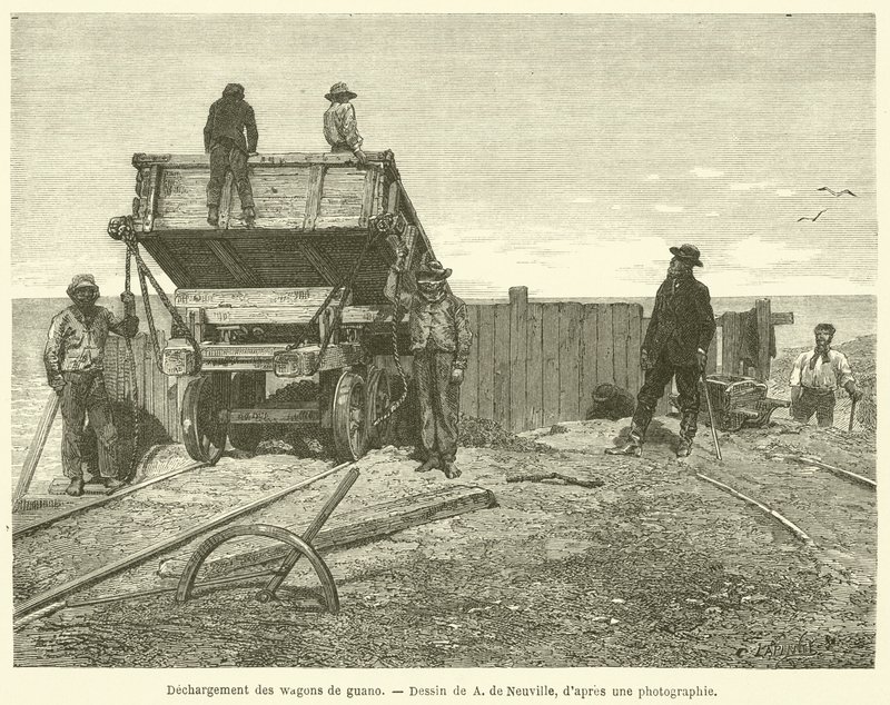 Rozładunek guano wagonów (grawerowanie) autorstwa French School
