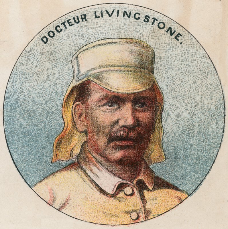 Dr Livingstone autorstwa French School