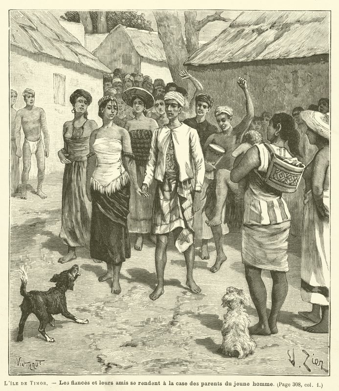 Wyspa Timoru (rycina) autorstwa French School