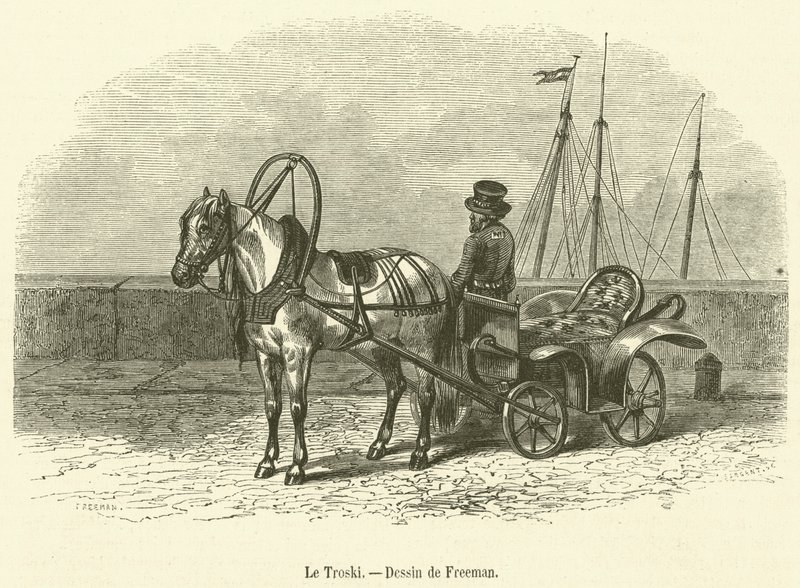 Le Troski (grafika) autorstwa French School