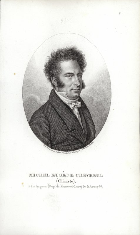 Michel Eugene Chevreul autorstwa French School