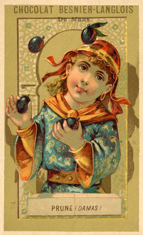 Śliwki z Damaszku (chromolitho) autorstwa French School