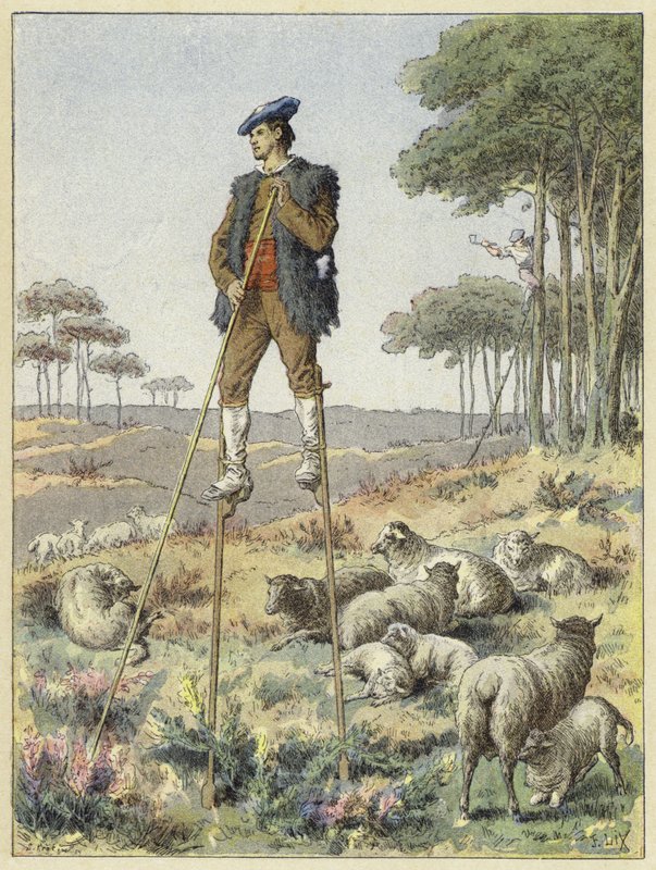 Pasterz na palach, Landes, Francja autorstwa French School