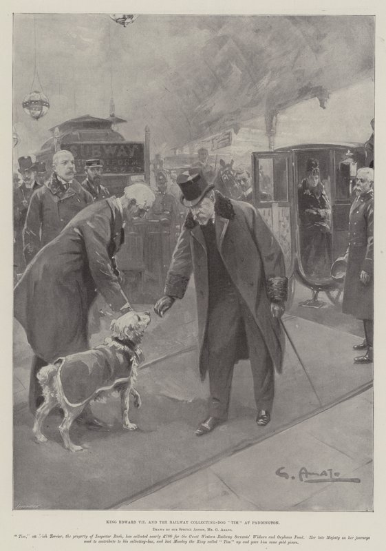 Król Edward VII i kolej Kolekcjonowanie - pies Tim w Paddington autorstwa G.S. Amato