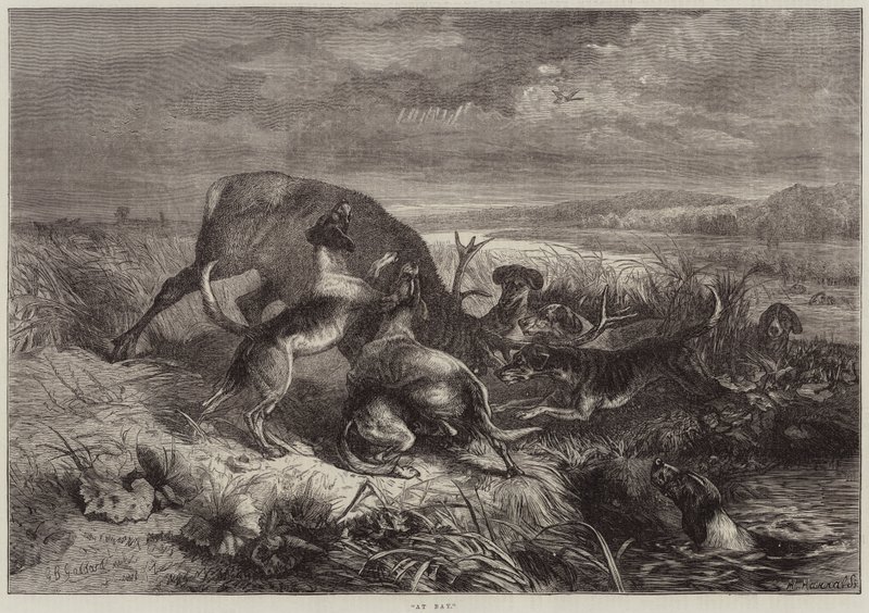 W zatoce autorstwa George Bouverie Goddard