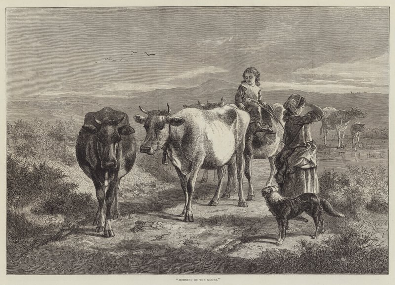 سهار په مورس پولی autorstwa George Bouverie Goddard