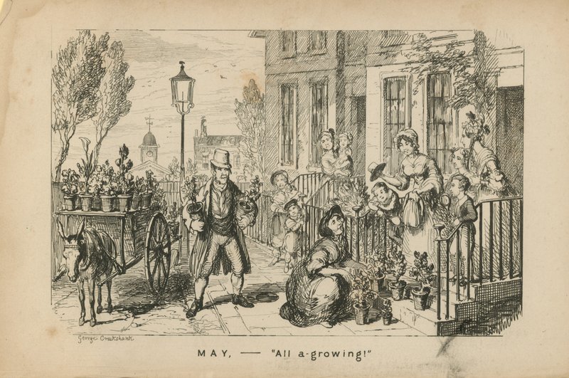 Maj - wszystko rośnie autorstwa George Cruikshank