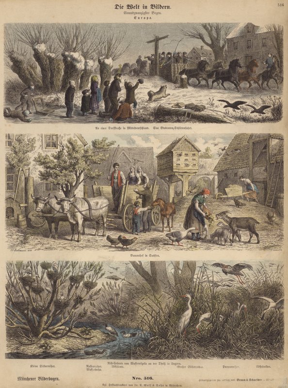 Europa (kolorowy grawerunek) autorstwa German School