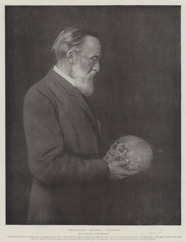 Profesor Rudolf Virchow (lito) autorstwa German School