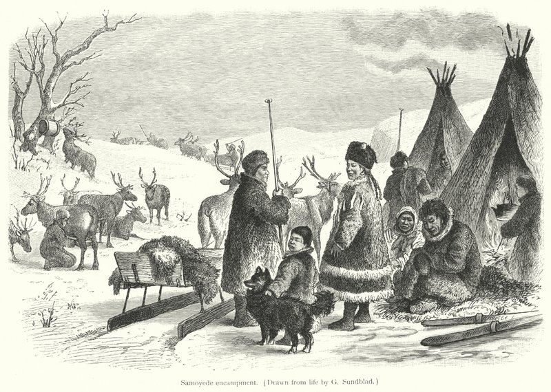 Obóz Samoyede (rycina) autorstwa Gustav (after) Sundblad