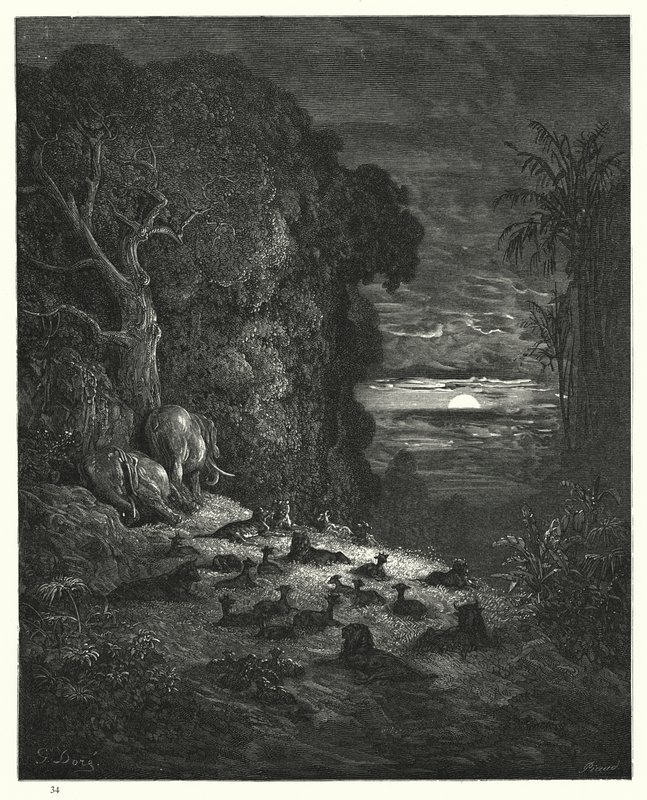 Ilustracja Gustave