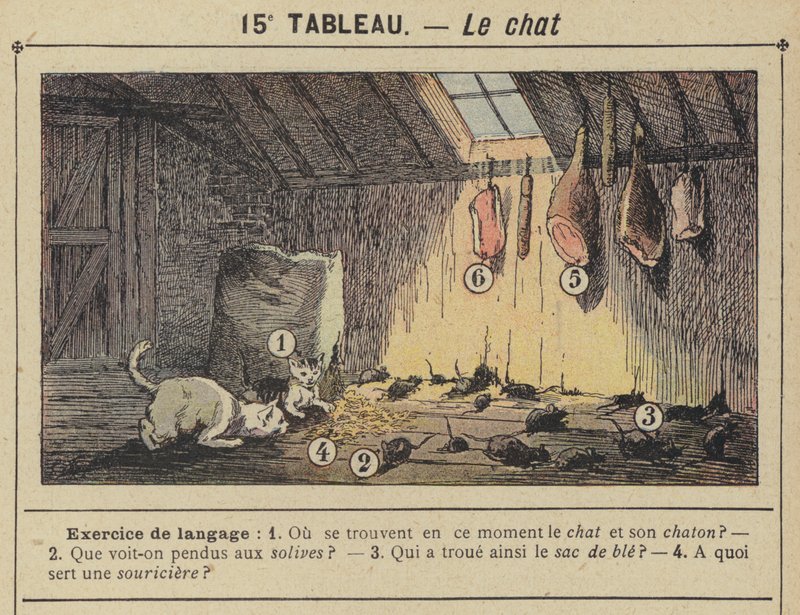 Le chat (kolor lito) autorstwa Gustave Fraipont