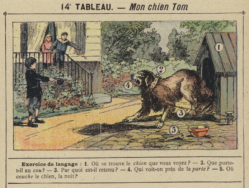 Mój pies Tom (kolor lito) autorstwa Gustave Fraipont