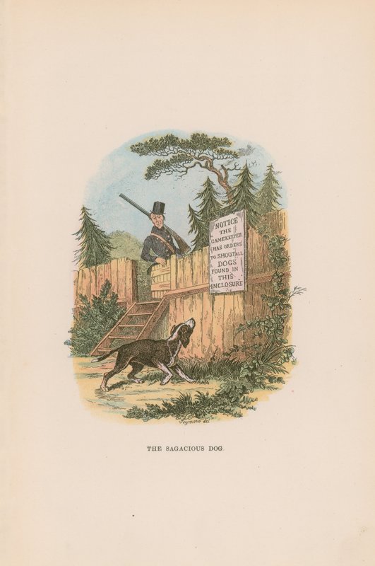 Ilustracja do Pickwick Papers autorstwa Hablot Knight Browne