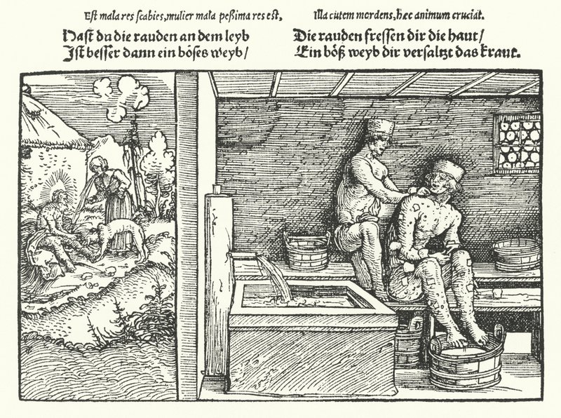 Świerzb (grawerowanie) autorstwa Hans (after) Burgkmair