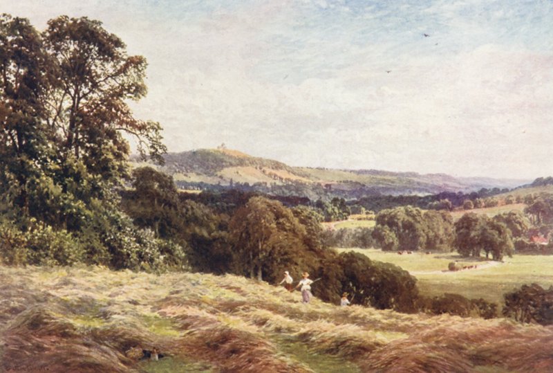 A Hayfield, Wonersh (kolorowa litografia) autorstwa Harold Sutton Palmer