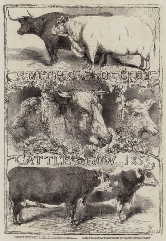 Wystawa bydła w klubie Smithfield, 1859 r. autorstwa Harrison William Weir