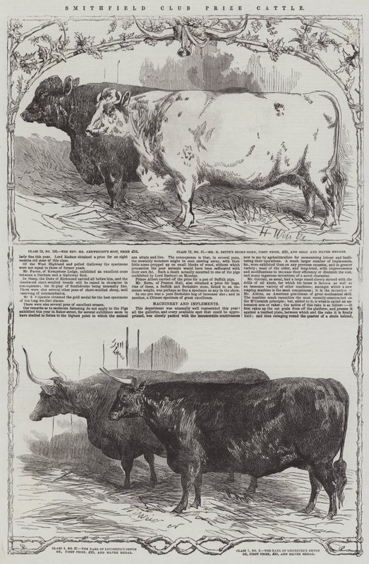 Nagroda Klubu Smithfield Bydło autorstwa Harrison William Weir