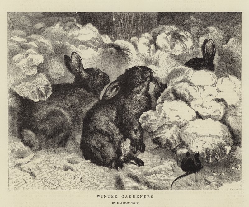 Ogrodnicy zimowi autorstwa Harrison William Weir