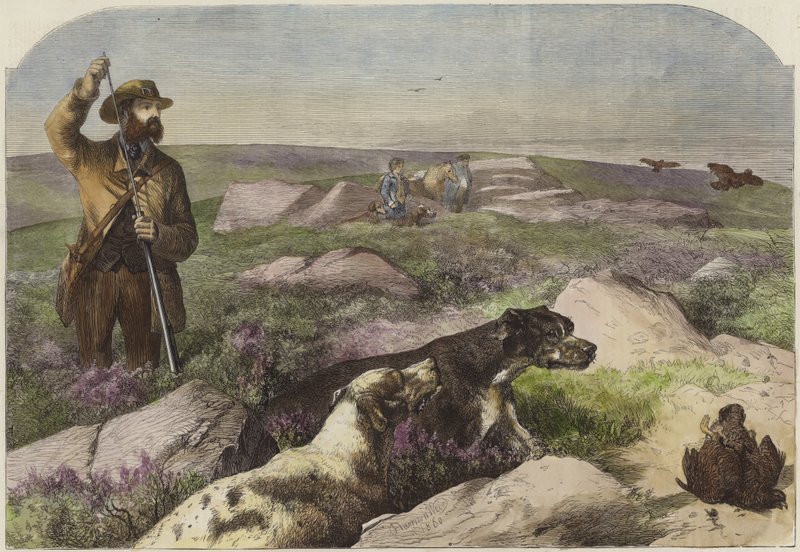 Strzelanie do głuszca autorstwa Harrison William Weir