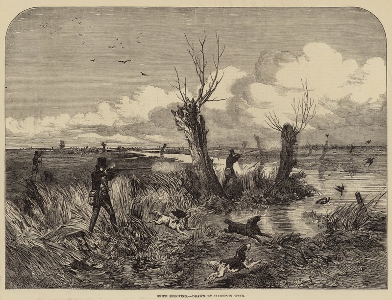 Strzelanie do snajperów autorstwa Harrison William Weir