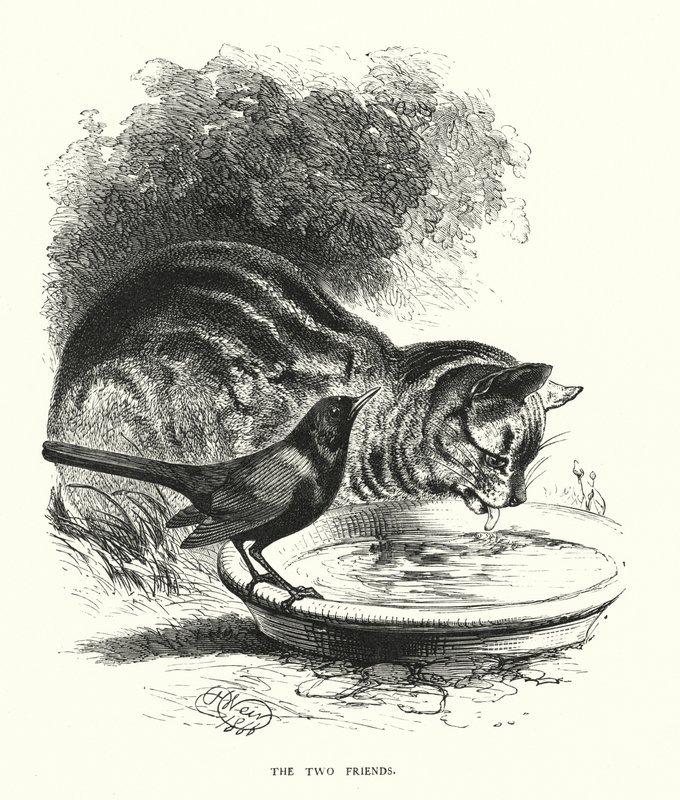 Dwóch przyjaciół (grawerowanie) autorstwa Harrison William Weir