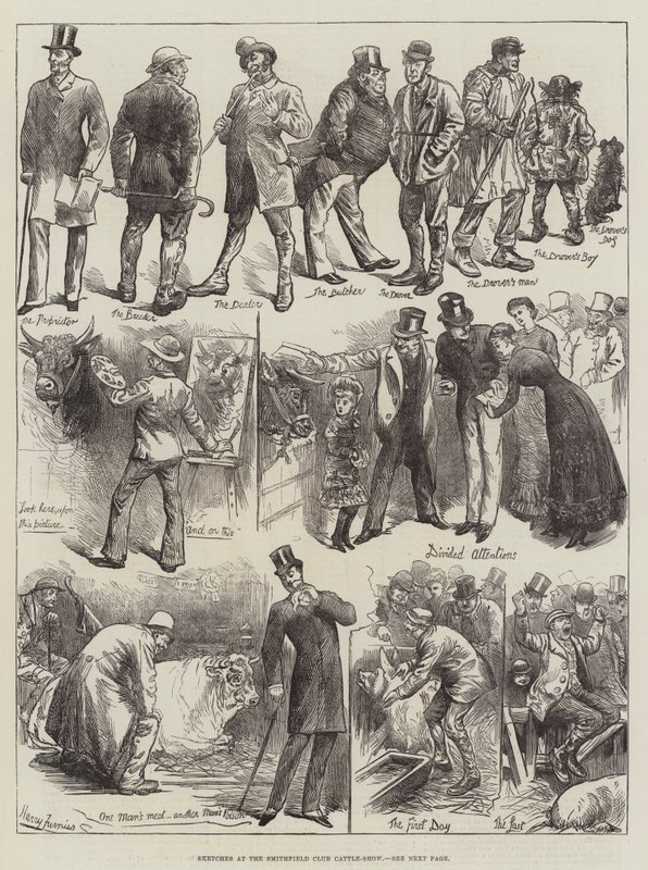 Szkice na pokazie bydła w Smithfield Club autorstwa Harry Furniss