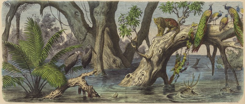 Powódź we wschodnich Indiach (kolorowy grawerunek) autorstwa Heinrich Leutemann