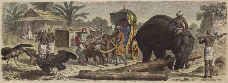 Scena w Bengalu, Indie (kolorowy grawerunek) autorstwa Heinrich Leutemann