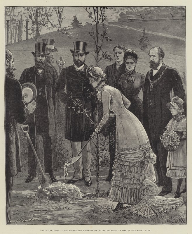 Królewska wizyta w Leicester, księżna Walii sadząc dąb w parku Abbey autorstwa Henry Stephen Ludlow