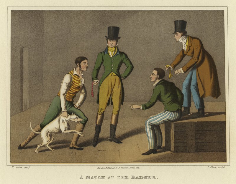 Mecz u borsuka (chromolitho) autorstwa Henry Thomas Alken