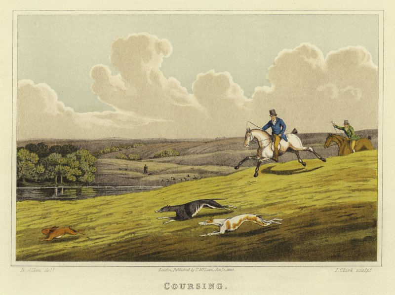 Coursing (chromolitho) autorstwa Henry Thomas Alken