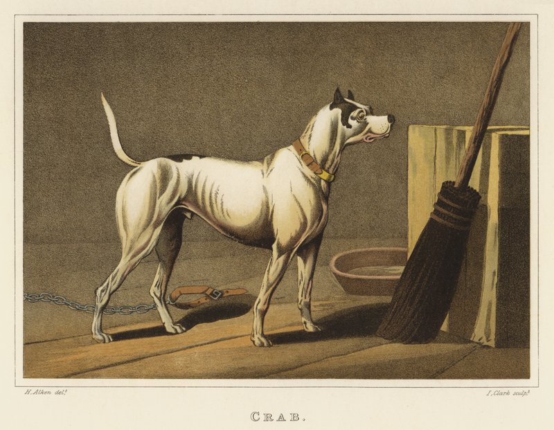 Krab (chromolitho) autorstwa Henry Thomas Alken