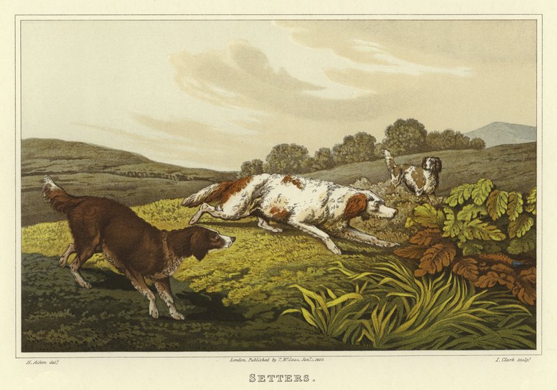 Setery (chromolitho) autorstwa Henry Thomas Alken
