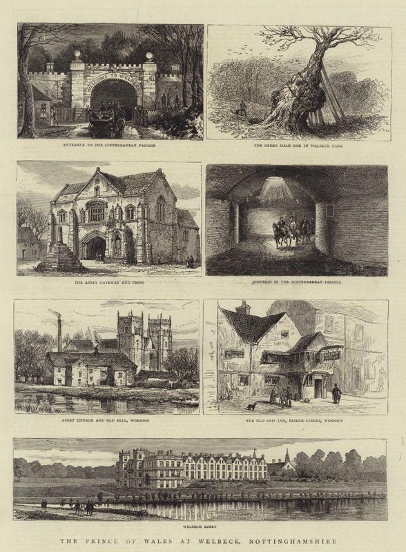 Książę Walii w Welbeck, Nottinghamshire autorstwa Henry William Brewer