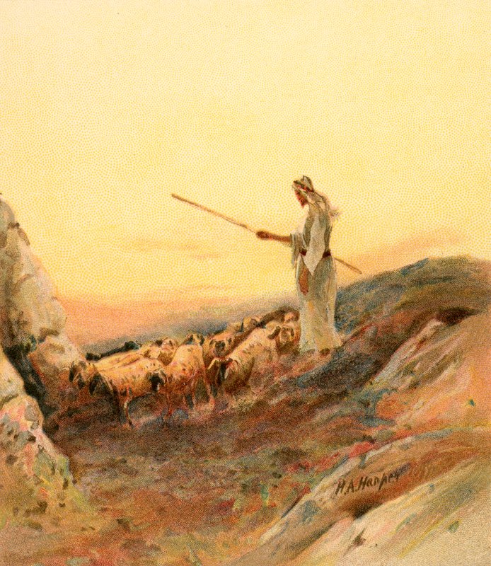 Pasterz liczący swoje owce autorstwa Henry Andrew Harper