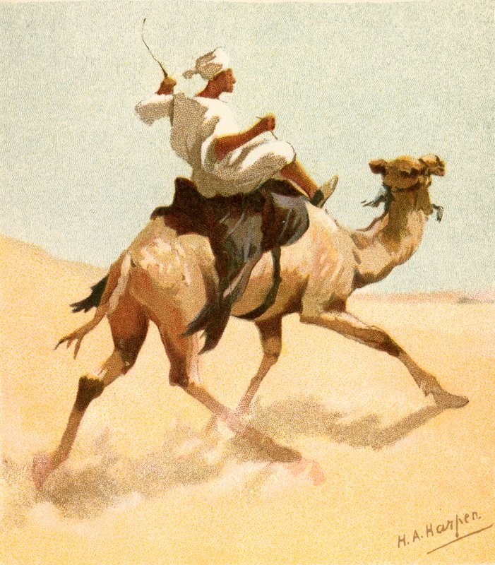 Arabski listonosz autorstwa Henry Andrew Harper