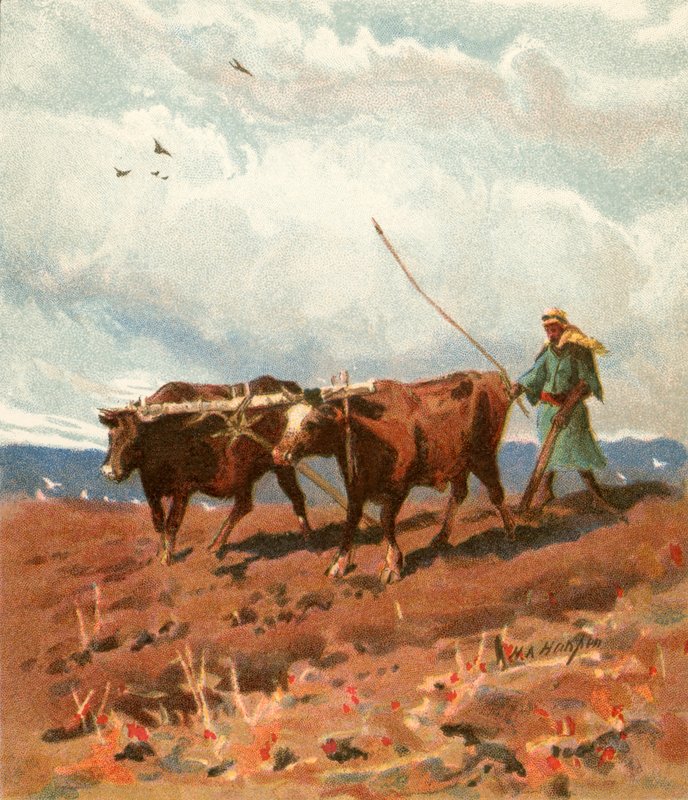 Orka autorstwa Henry Andrew Harper