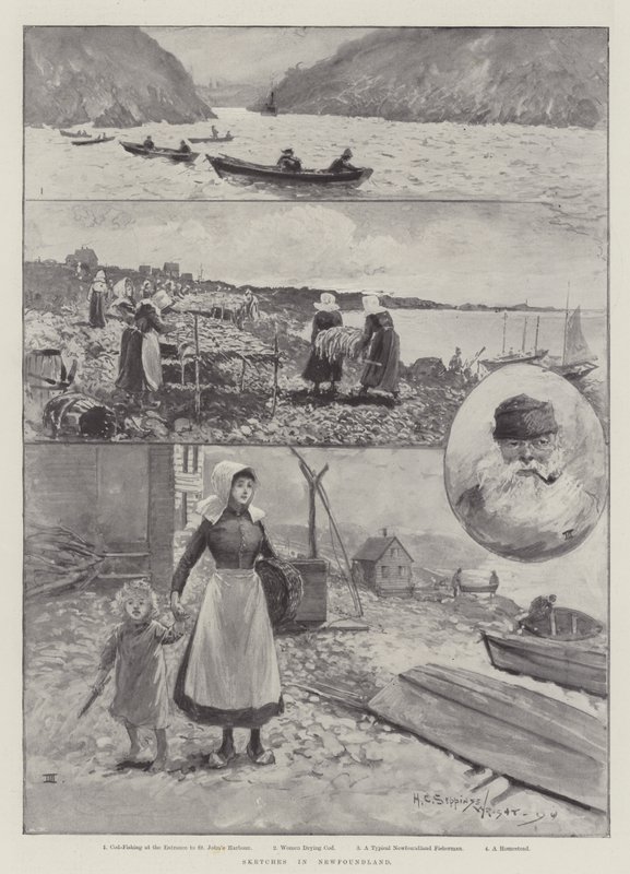 Szkice w Nowej Fundlandii autorstwa Henry Charles Seppings Wright