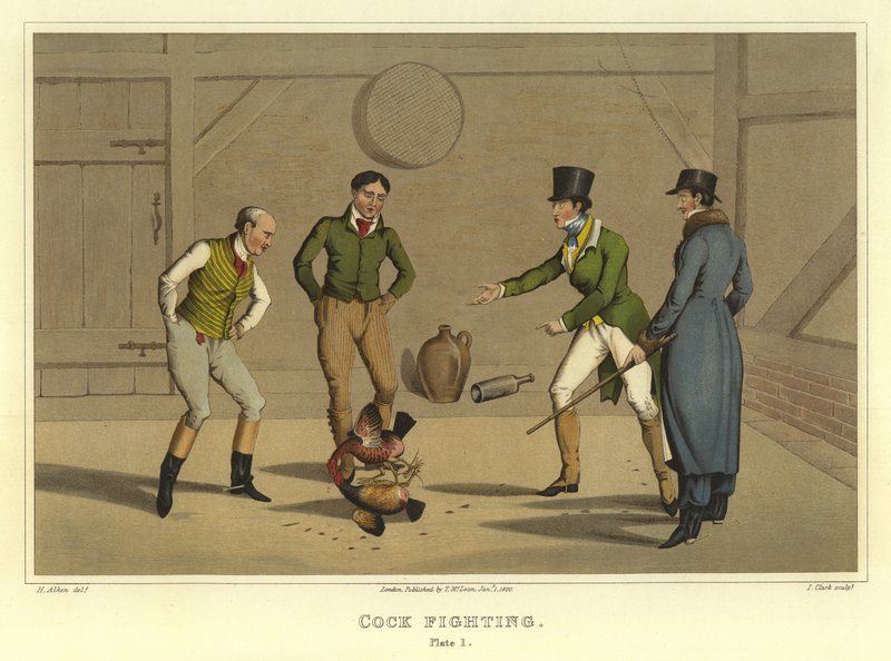 Walka kogutów (chromolitho) autorstwa Henry Thomas Alken