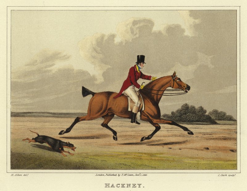 Hackney (chromolitho) autorstwa Henry Thomas Alken