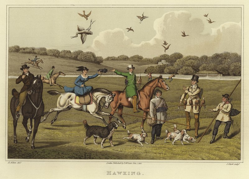 Hawking (chromolitho) autorstwa Henry Thomas Alken