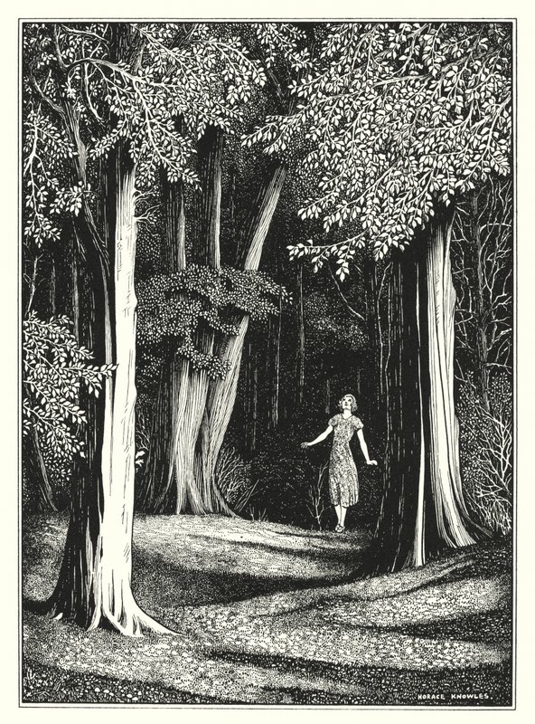 Lipiec (litografia) autorstwa Horace J. Knowles