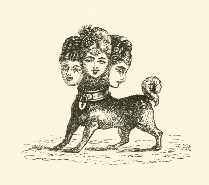 Kobieta Cerber (rycina) autorstwa Hugh Rowley