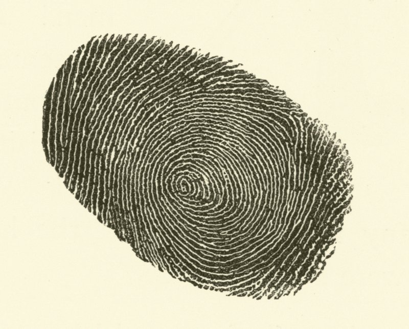 Odcisk palca (grawerowanie) autorstwa Hugh Rowley