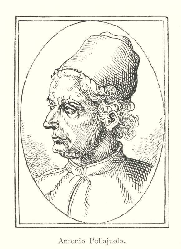 Antonio Pollajuolo (grafika) autorstwa Italian School
